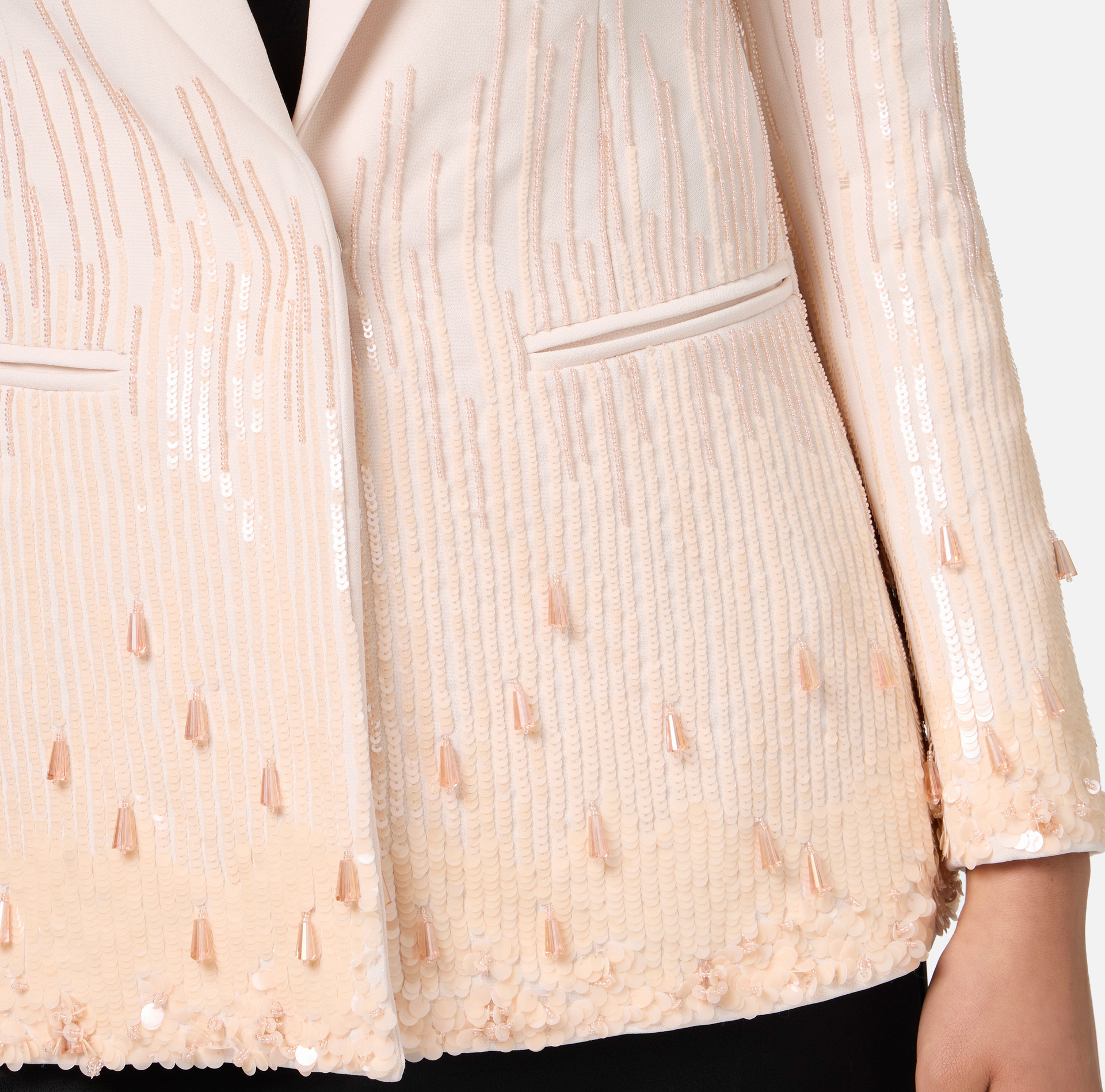 Giacca in crêpe ricamato con paillettes | Elisabetta Franchi® Outlet