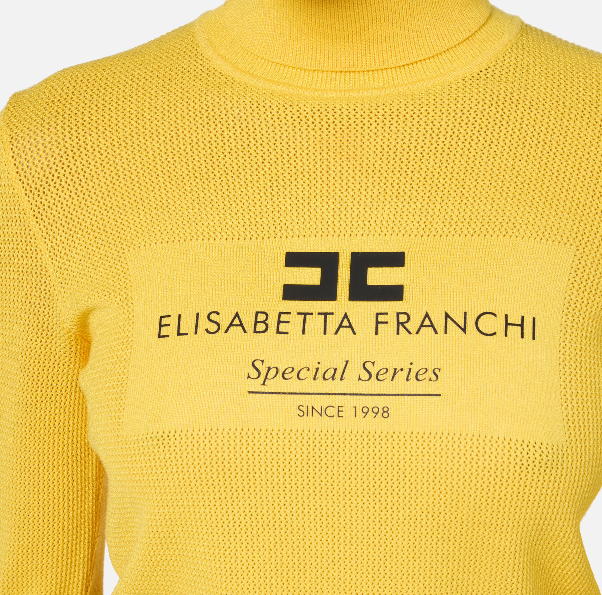 Viscose mesh stitch turtleneck with inlay | Elisabetta Franchi® Outlet
